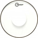 Aquarian - Naciąg Classic Clear Dot 14''
