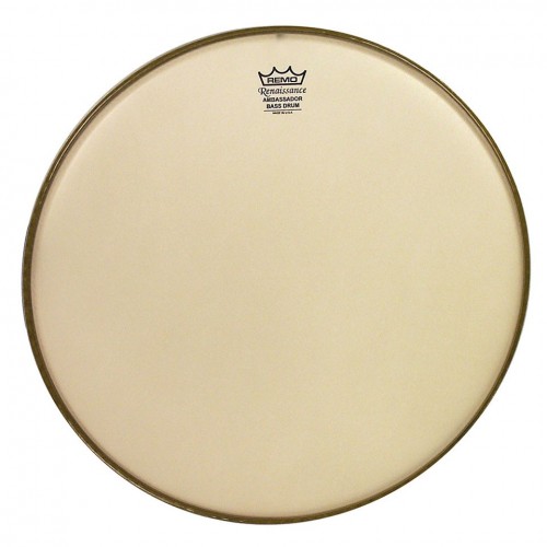 Remo - naciąg Renaissance Diplomat 14''