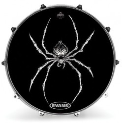 Evans - Naciąg rezonansowy Inked - Spidrasica 22''