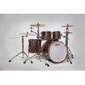 Ludwig - perkusja Signet 105 Tera Beat Shellset - Macassar Ebony