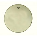 naciąg Renaissance Ambassador 14''