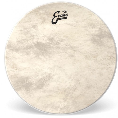 Evans Calftone Bass 18" naciąg na centralę