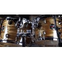 Dixon Fuse Swiss Ebony Limited 22" Shellset