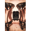 Meinl - Bongosy Artist Series Bongo Diego Gal&eacute; True Skin Calf Heads 7" & 8 1/2"
