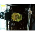 Signia Maple Fusion