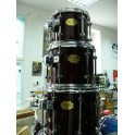 Signia Maple Fusion