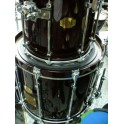 Signia Maple Fusion