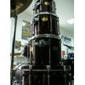 Signia Maple Fusion