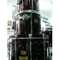 Signia Maple Fusion
