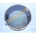 werbel Birch Custom 14'' x 6''