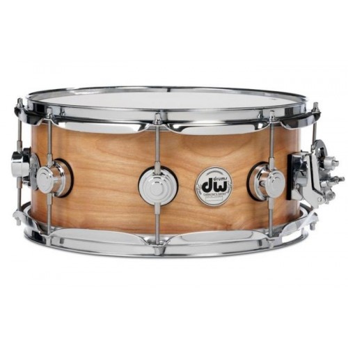 DW - werbel brzozowy Collectors Birch 14''x5''